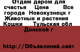 Отдам даром для счастья. › Цена ­ 1 - Все города, Новокузнецк г. Животные и растения » Кошки   . Тульская обл.,Донской г.